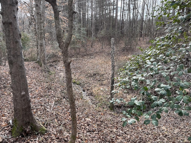 21.04 Bennett Rd, Creedmoor, NC 27522 - photo 13