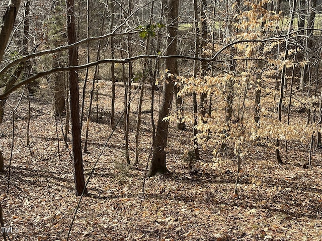 21.04 Bennett Rd, Creedmoor, NC 27522 - photo 15
