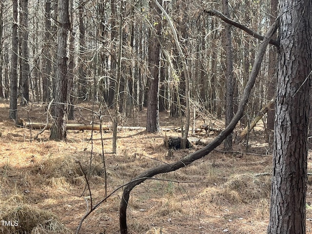 21.04 Bennett Rd, Creedmoor, NC 27522 - photo 17