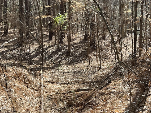 21.04 Bennett Rd, Creedmoor, NC 27522 - photo 18