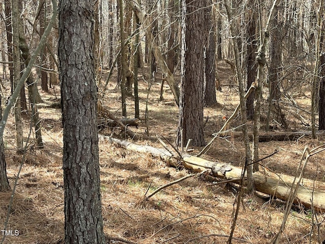21.04 Bennett Rd, Creedmoor, NC 27522 - photo 19