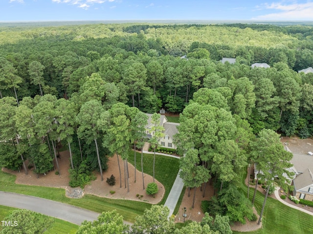 14021 Wallberman Dr, Wake Forest, NC 27587 - photo 58