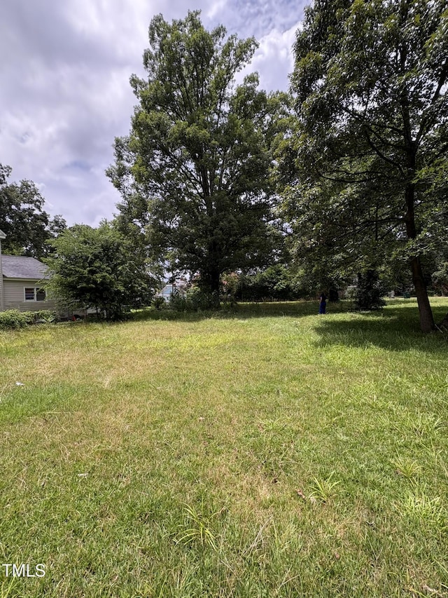 913 Vance St, Roanoke Rapids, NC 27870 - photo 4