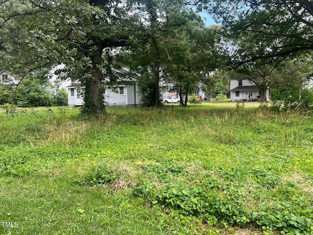 913 Vance St, Roanoke Rapids, NC 27870 - photo 13