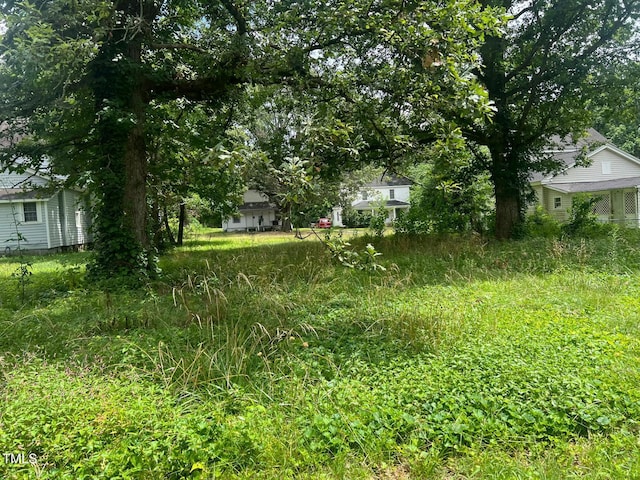 913 Vance St, Roanoke Rapids, NC 27870 - photo 15