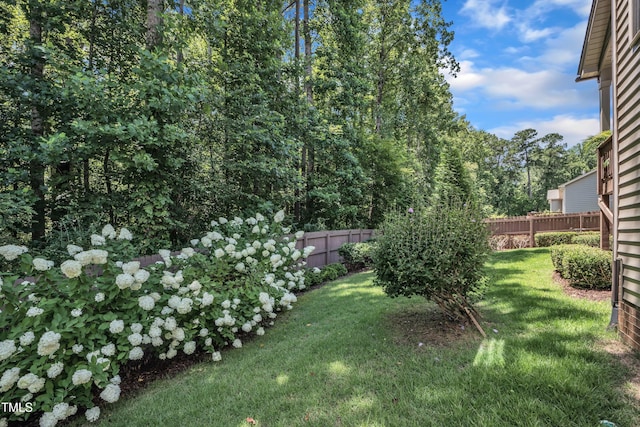 226 Roaring Creek Dr, Garner, NC 27529 - photo 46