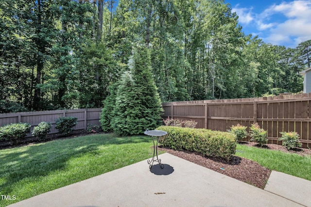 226 Roaring Creek Dr, Garner, NC 27529 - photo 49