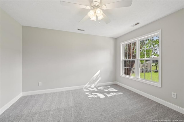 412 Dunbar Dr, Lillington, NC 27546 - photo 24