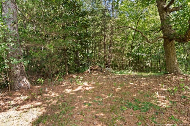 236 Plaza Dr, Fayetteville, NC 28304 - photo 44
