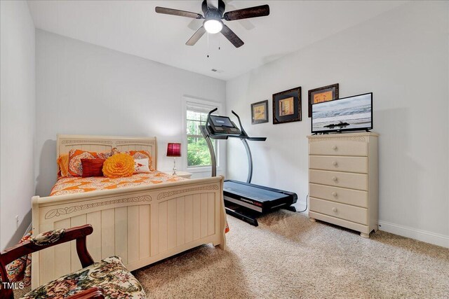 316 Pine Laurel Dr, Carthage, NC 28327 - photo 29