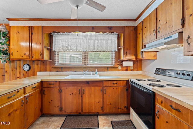 207 Wendell Rd, Wendell, NC 27591 - photo 9