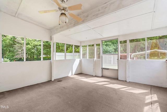 207 Wendell Rd, Wendell, NC 27591 - photo 26