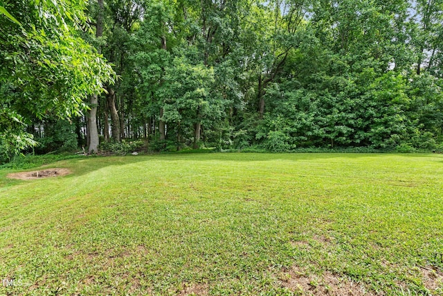 207 Wendell Rd, Wendell, NC 27591 - photo 34