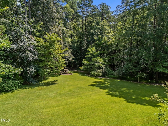1105 Hidden Hills Dr, Wake Forest, NC 27587 - photo 28