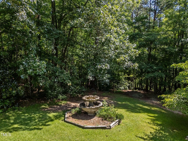 1105 Hidden Hills Dr, Wake Forest, NC 27587 - photo 29