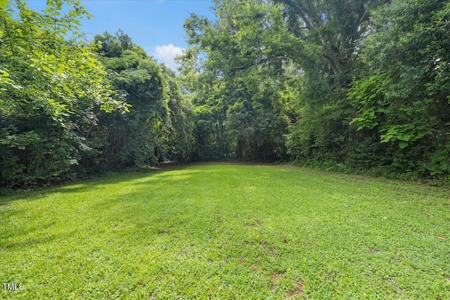 1311 Branch St, Rocky Mount, NC 27801 - photo 18