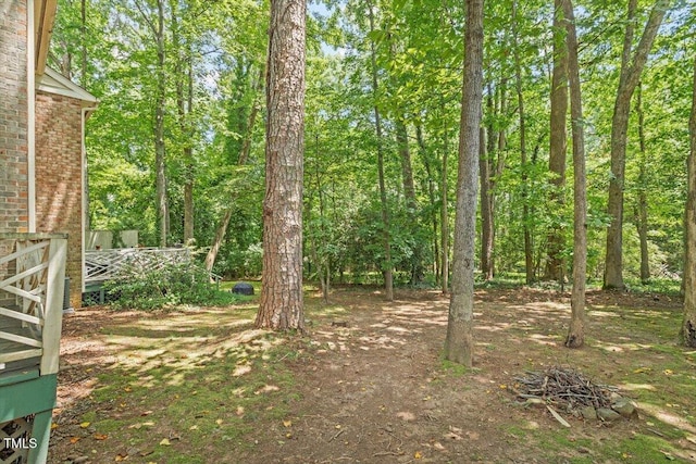 409 Smith Ave Unit 105, Chapel Hill, NC 27516 - photo 21
