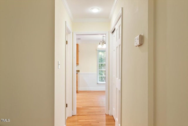409 Smith Ave Unit 105, Chapel Hill, NC 27516 - photo 6
