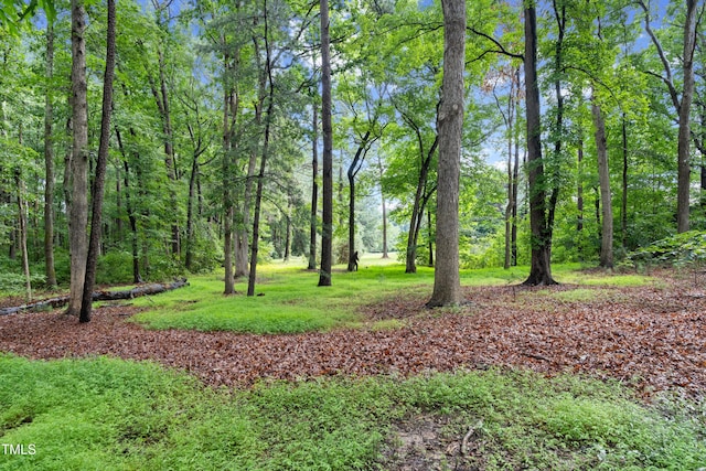 3117 Ten Ten Rd, Apex, NC 27539 - photo 12