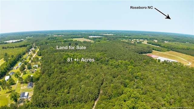 Big Piney Grove Rd, Clinton, NC 28328 - photo 1