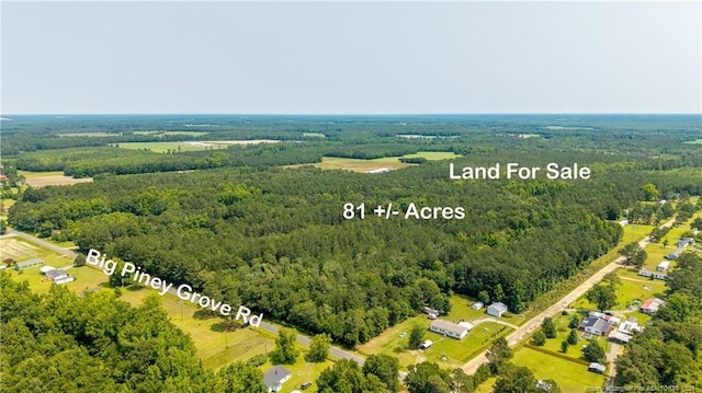 Big Piney Grove Rd, Clinton, NC 28328 - photo 2