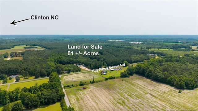 Big Piney Grove Rd, Clinton, NC 28328 - photo 3