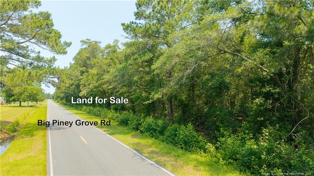 Big Piney Grove Rd, Clinton, NC 28328 - photo 5