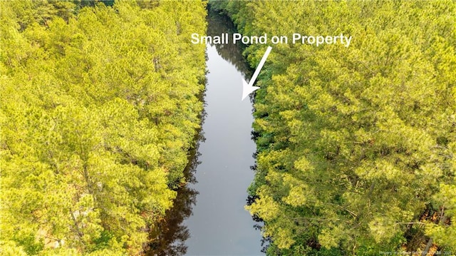 Big Piney Grove Rd, Clinton, NC 28328 - photo 4