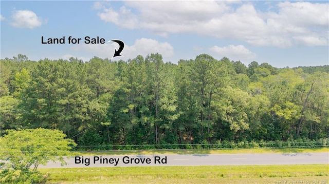 Big Piney Grove Rd, Clinton, NC 28328 - photo 6