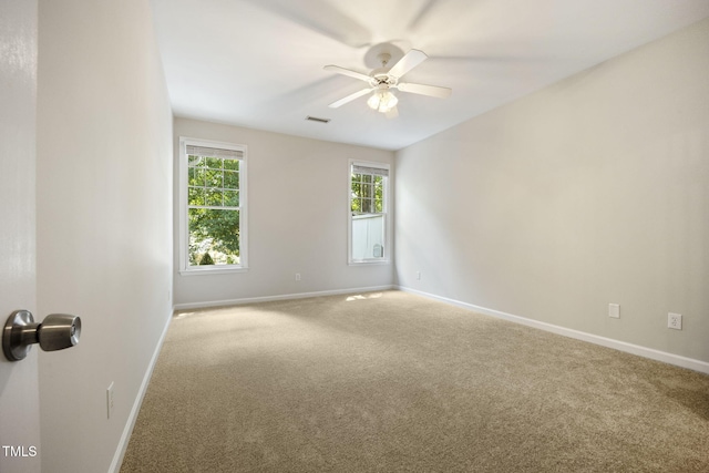 11020 Southwalk Ln, Raleigh, NC 27614 - photo 29
