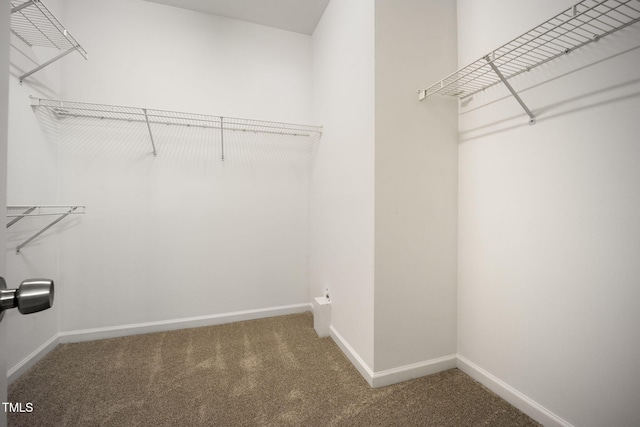 11020 Southwalk Ln, Raleigh, NC 27614 - photo 33