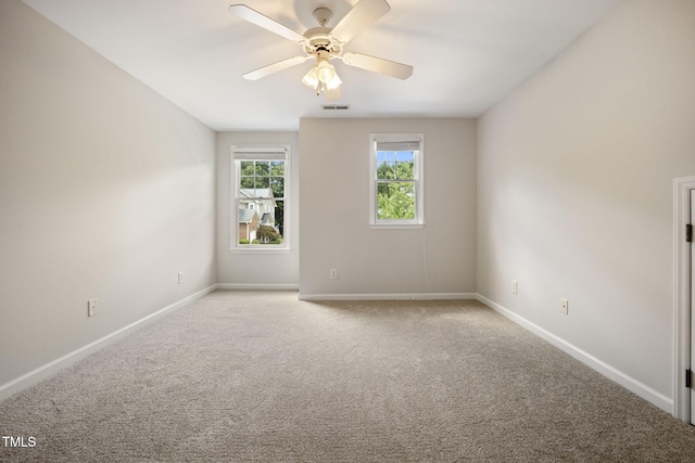 11020 Southwalk Ln, Raleigh, NC 27614 - photo 35