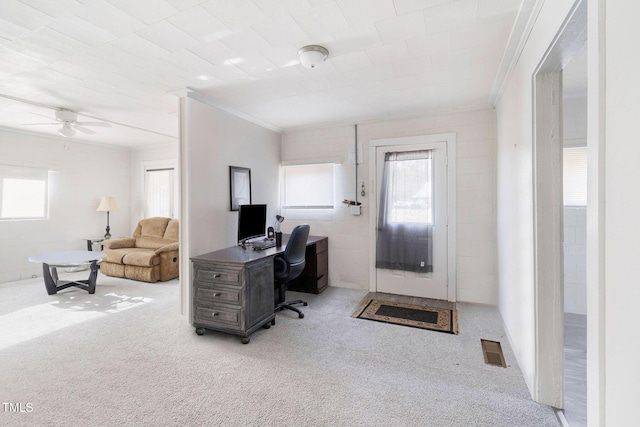 303 Rosin Hill St, Spring Hope, NC 27882 - photo 12