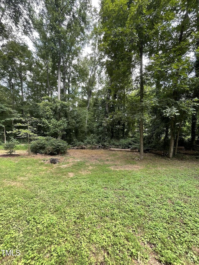 1512 Edwards Dr, Chapel Hill, NC 27516 - photo 9