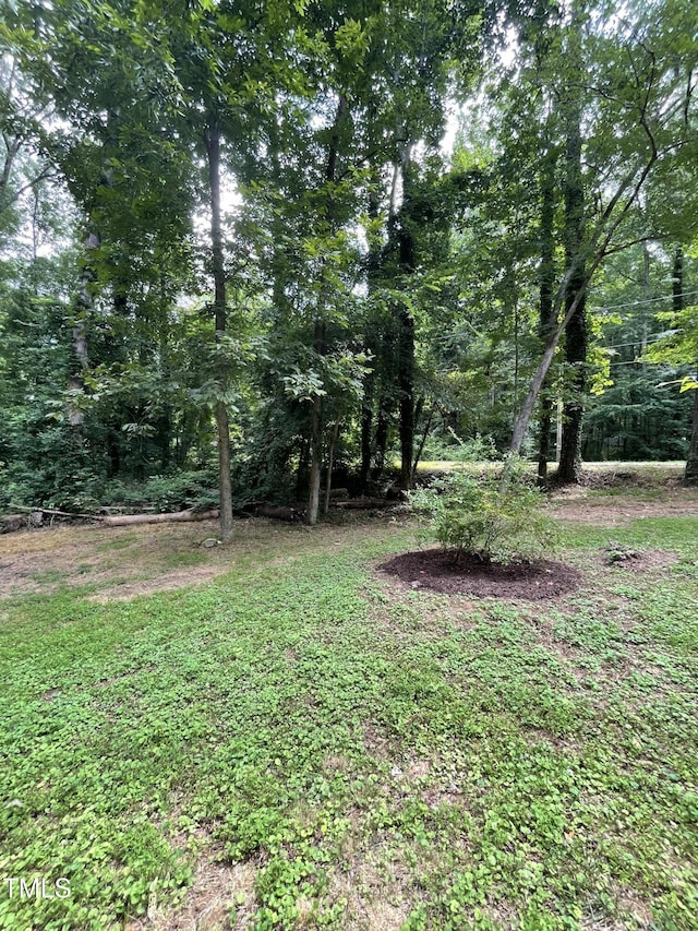 1512 Edwards Dr, Chapel Hill, NC 27516 - photo 10