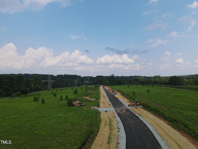 LOT16 Magpie Ln, Hillsborough, NC 27278 - photo 3