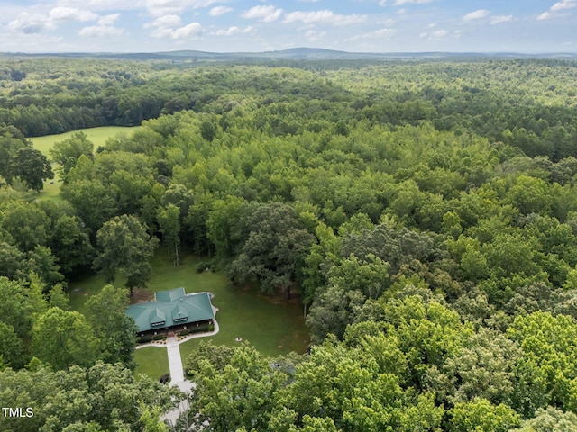 4116 Blue Mountain Rd, Oxford, NC 27565 - photo 33