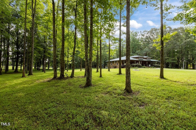 4116 Blue Mountain Rd, Oxford, NC 27565 - photo 38