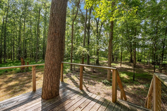 4116 Blue Mountain Rd, Oxford, NC 27565 - photo 30