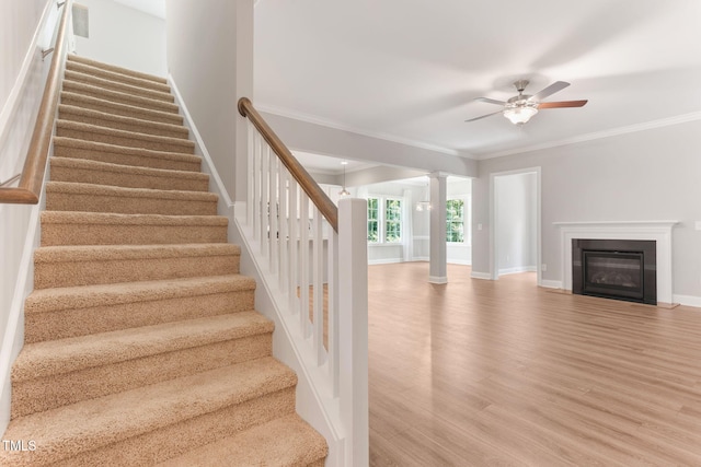 452 Cedar Pond Ct, Knightdale, NC 27545 - photo 4