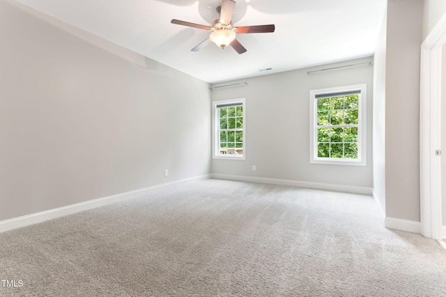 452 Cedar Pond Ct, Knightdale, NC 27545 - photo 17