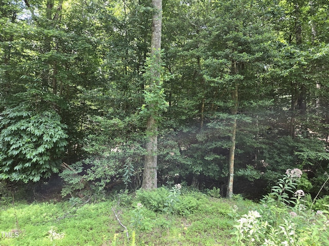 116 Navajo Dr, Louisburg, NC 27549 - photo 1