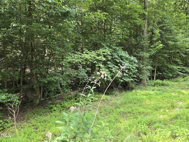 116 Navajo Dr, Louisburg, NC 27549 - photo 2