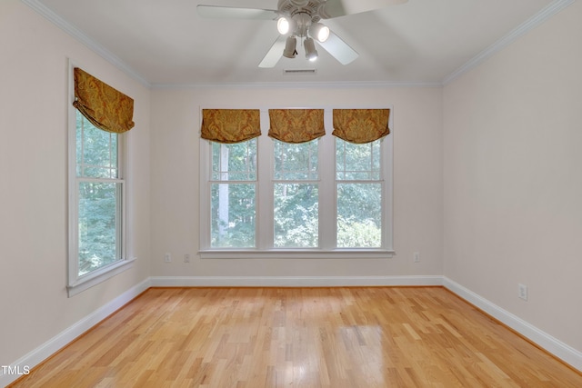 4831 Crestmore Rd Unit 202, Raleigh, NC 27612 - photo 28