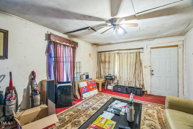 1446 Maplewood Dr, Durham, NC 27704 - photo 32