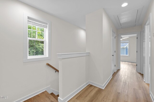 901 Selby Ave, Durham, NC 27713 - photo 11