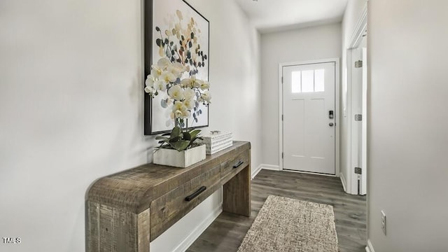 101 Pantaneiro Way, Wake Forest, NC 27587 - photo 2