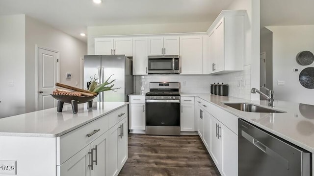 101 Pantaneiro Way, Wake Forest, NC 27587 - photo 13