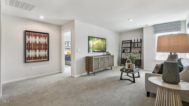 101 Pantaneiro Way, Wake Forest, NC 27587 - photo 20
