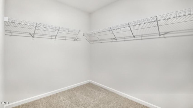 101 Pantaneiro Way, Wake Forest, NC 27587 - photo 25